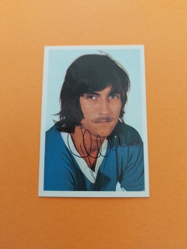 Bergmann sticker schalke 04 - bergmann,