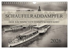 Schaufelraddampfer der