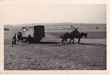 Foto - Pferde ziehen LKW -