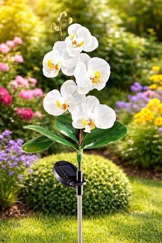 Stück solarlampe orchidee - stück,