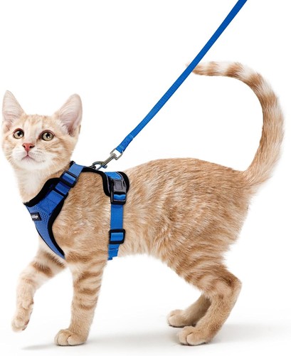 Katzengeschirr ausbruchsicher - katzengeschirr,