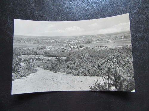Trebbin 1959 - ak,