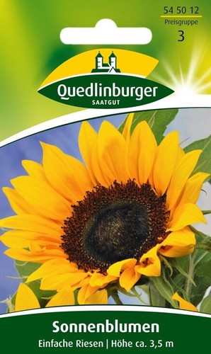 Sonnenblumen einfache riesen - "einfache, riesen"