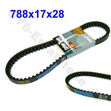 KEILRIEMEN 788x17x28 EXPLORER