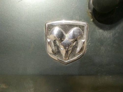 Dodge magnum 2005 emblem - magnum,