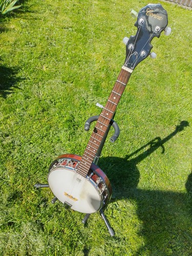 Bluegrass banjo string - bluegrass, banjo,