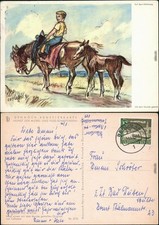 Junge auf Pferd mit Fohlen -