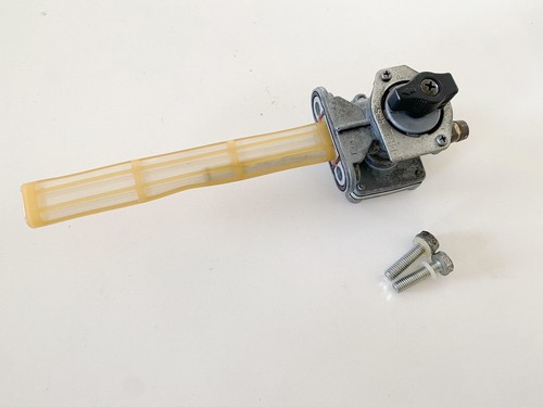 Kawasaki 800 drifter - drifter, e