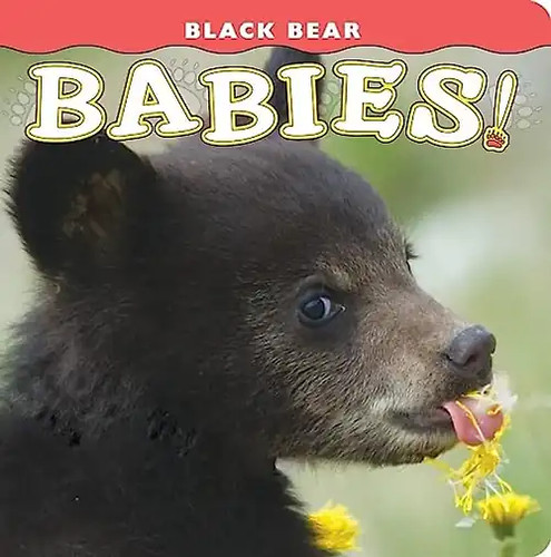 Black bear babies - black, (babies