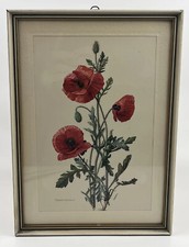 Antike Blumen Radierung