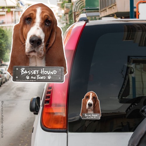 Basset hound bord - an,