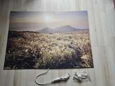 Infrarot Bildheizung Infrarotheizung Wandheizung Heizpaneel 500 Watt