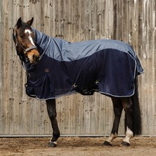 Equithème Decke mit