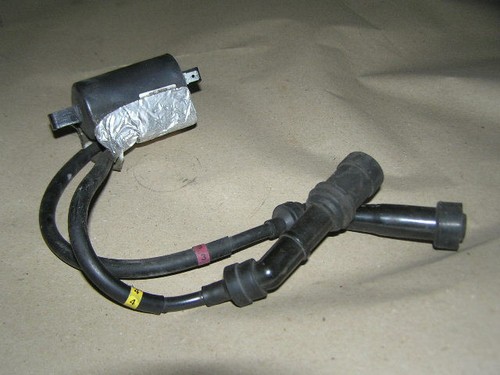 Yamaha 1600 wild - xv,