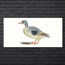 Zeichnung Tier Vogel Kunst