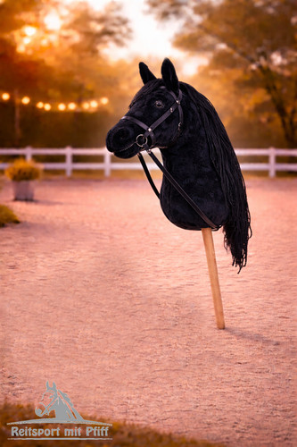 Hkm hobby horse steckenpferd - hkm,