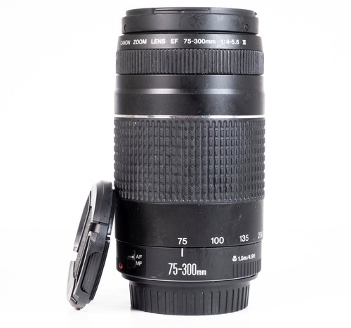 Canon 300mm 5 - f/4.0-5.6, iii