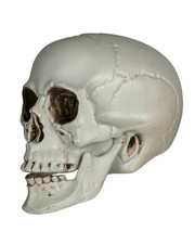 Deko Totenkopf mit beweglichem