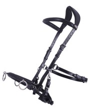 Leder kappzaum longierhilfe - kappzaum,