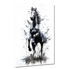 Wunderschönes Pferd schwarz