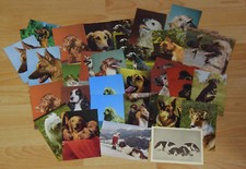 Postkarten hunde aus - hunde,
