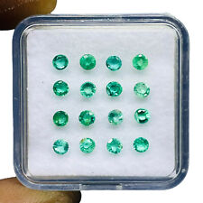 16 Stück Natürlich