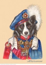 Border collie kunstdruck - border,