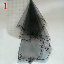 Cathedral Schleier Spitze