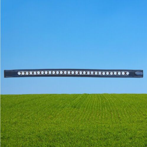Euroriding stirnband big - euroriding, "big