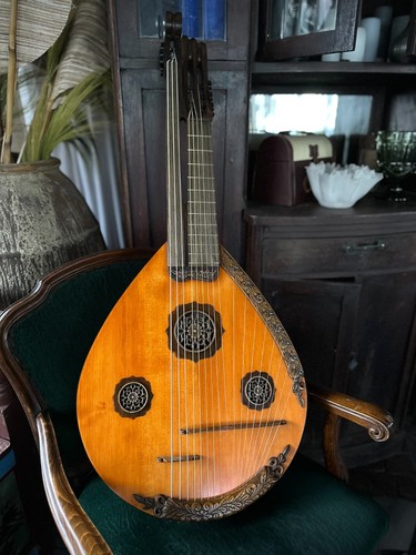 Akustik doppelhals gitarre - doppelhals,
