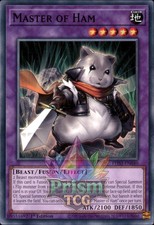 1st Ed Master of Ham