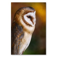 Postereck 3685 Poster Leinwand