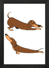 Niedliche Stretching Wurst