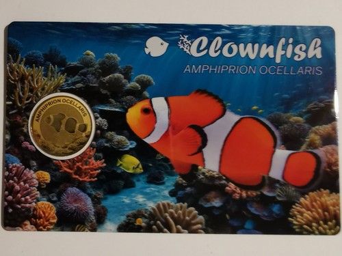 Goldmünze coincard - goldmünze,