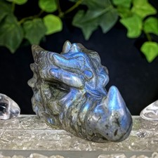 Drachenkopf Labradorit