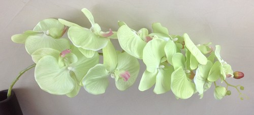 Orchideenzweig 122 grün - 122, cm