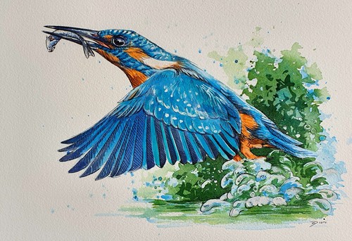 Original aquarell eisvogel - aquarell,,