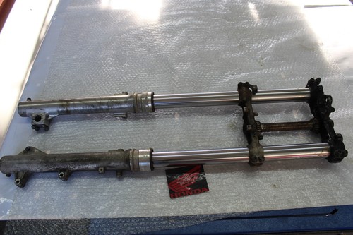 Honda 600 transalp pd06 - 600, v