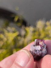 Mehrfarbiger Turmalin Rubellit