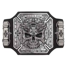 TRIPLE H "30 YEARS" SERIES THE