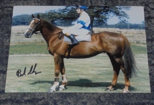 Bob champion grand national - -,