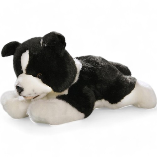 Carl dick border collie - dick,