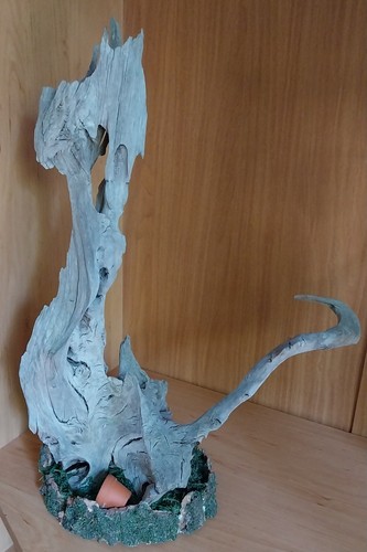 Baumwurzel versteinert
