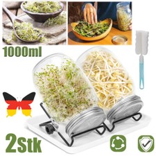 2 Stück Sprossenglas Set