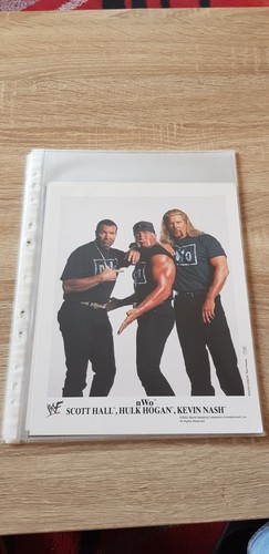 Nwo new world - nwo, hogan