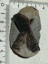 Staurolith (90°), aus Russland, Mineralien N°301/B3