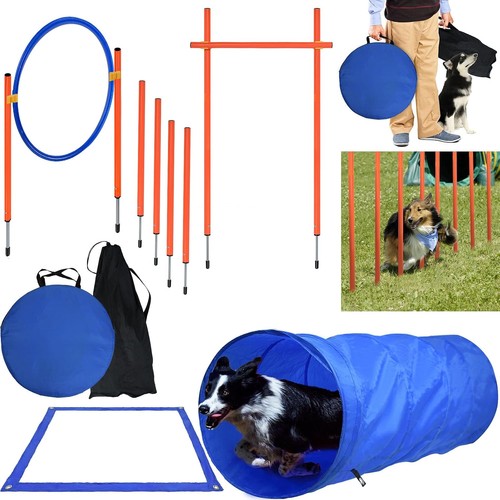 Agility set hunde - agility,