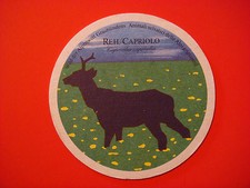 Bier Verbindung Untersetzer