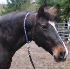 Praktisches Neck Strap