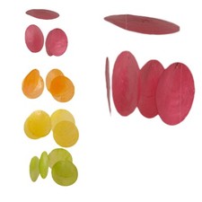 Capiz Muschel Bunt Girlande